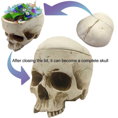 CUZOKOLA Larger 6.9" Human Skull Candy Dish with Lid,Big Skull Candy Jar,Skull Head Decor Statue Resin Mold for Halloween Skull Candy Bowl,Skull Home Decoration,White Skull Skeleton Bowl Sculpture