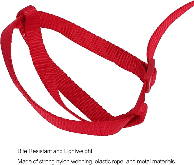 Elastic Parrot Harness Leash Bird Leash Bite Proof Harness Adjustable Parrot Flying Training Rope with Metal Hook Nylon Webbing for Cockatiels Walking (XL)
