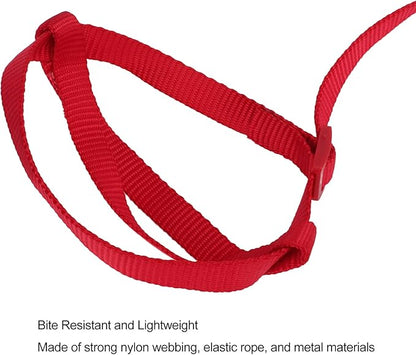 Elastic Parrot Harness Leash Bird Leash Bite Proof Harness Adjustable Parrot Flying Training Rope with Metal Hook Nylon Webbing for Cockatiels Walking (XL)