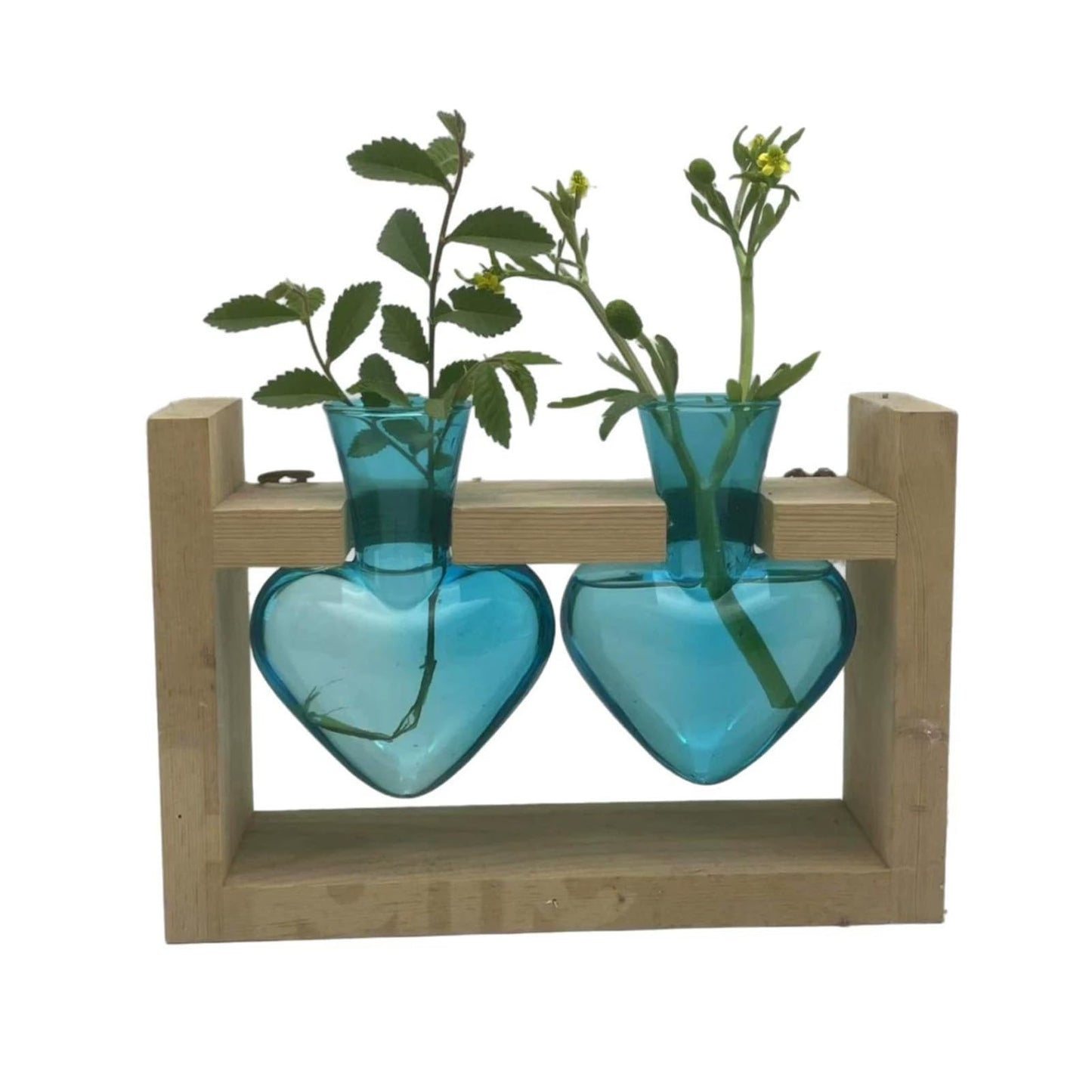 SUNGOOYUE Heart Shaped Glass Vase, Plant Propagation Station with Wooden Stand for Home Garden Decoration, Hydroponic Terrarium for Women Mom
