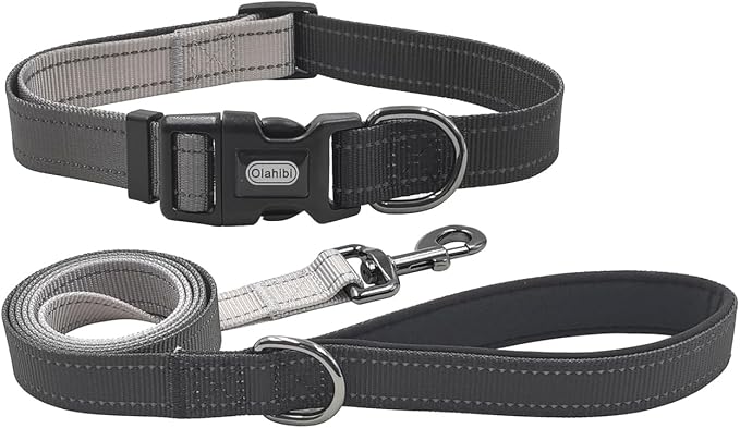 Dog Collar Leash Set, Gradient Color, with Safety Reflective Strips, 5 ft Matching Leash, Neoprene Padded Handle, Adjustable 4 Sizes for Small Medium Large Dogs.(S, Black Grey)