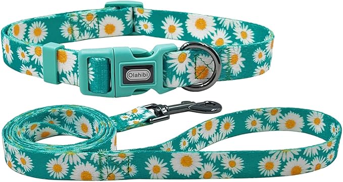 Dog Collar and Leash Set, Cute Daisy Pattern, Polyester Material, 5ft Leash, for Puppy Dogs.(Extra Small,Green Daisy)
