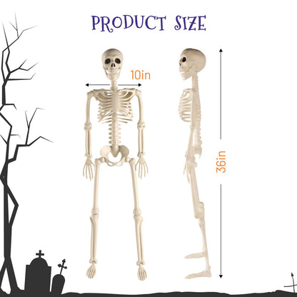 Toolterritary 36" Halloween Skeleton, 3 ft Human Skeleton Full Body Posable Joints Plastic Skeleton for Halloween Decoration, Yard Patio Lawn Garden Skeleton Spooky Party Decoration Indoor Outdoor