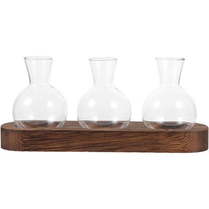 OSOLADY Decorative Glass Plant Vase Set with Wooden Base, Hydroponic Flower Planter for Office and Home Desk, 3pcs Water Cultivation Terrarium Arrangement