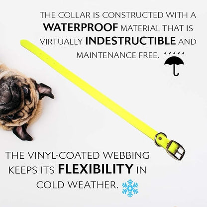 Regal Dog Products Medium Yellow Waterproof Dog Collar and Leash Set | Heavy Duty Double Buckle & D Ring - 5'ft Leash | Adjustable Biothane Dog Collar | Chew Resistant Waterproof Collar for Dogs