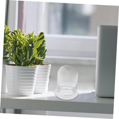 Alipis Mini Landscape Bottle Lid DIY Moss Eco Terrarium Glass Container for Home Decor Suitable for Succulent Plants and Micro Landscapes