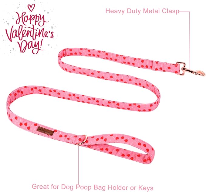 Valentine Dog Collar & Leash Set, Sturdy Durable Cotton, Pink, Wedding, Small to Large Dogs