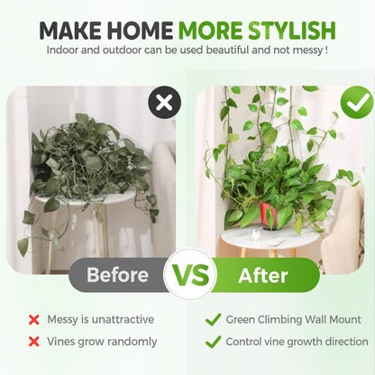Pothos Plant Fixer, Plant Climbing Wall Fixture Clips, Vegetable Plastic Clip, Garden Self Strong Adhesive Hook, Grape Vine for Indoor Outdoor Traction Wire Invisible Clip Decoration (30, White)