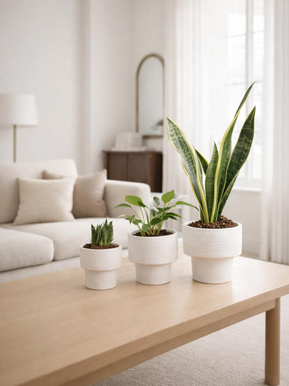 INGOFIN Ceramic Planter Pot Set of 3, 4/5/6 Inch Indoor Decorative Cachepot for Pothos & Succulents, No Drainage Hole, Modern Tabletop Desk Display Plant Pot for Home Decor, Sandblasted White