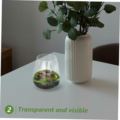 Yardenfun Hydroponic Glass Terrarium for Indoor Decor Moss Plant Container Sustainable Glass Landscape for and Centerpieces