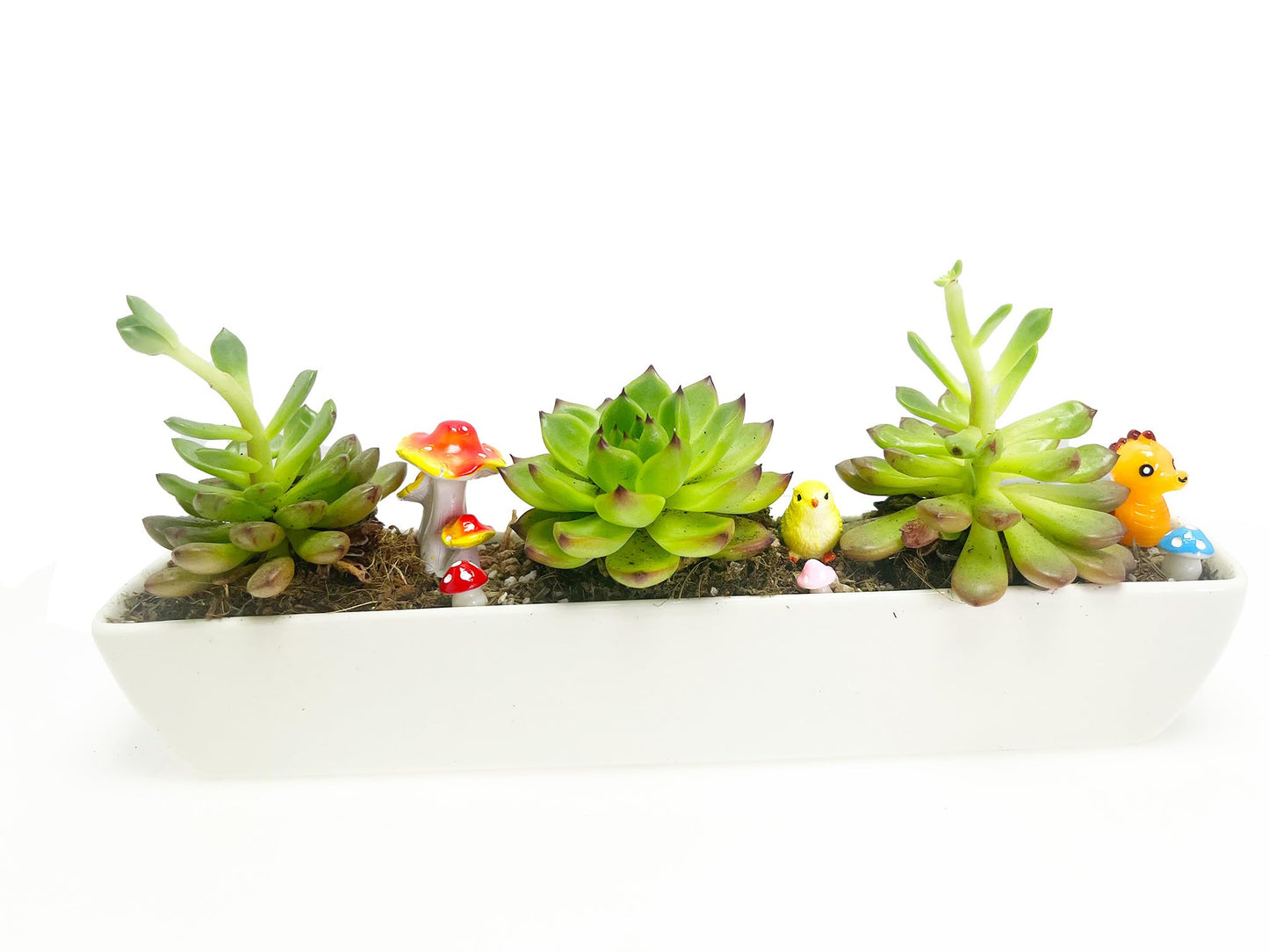WISH HALLY WOOD 11inch Long Rectangle White Ceramic Succulent Planter Pots/Mini Flower Plant Containers with Bamboo Saucers. Product Size:11x2.23x1.69inch,not Include The Plant. (Long Rectangle)