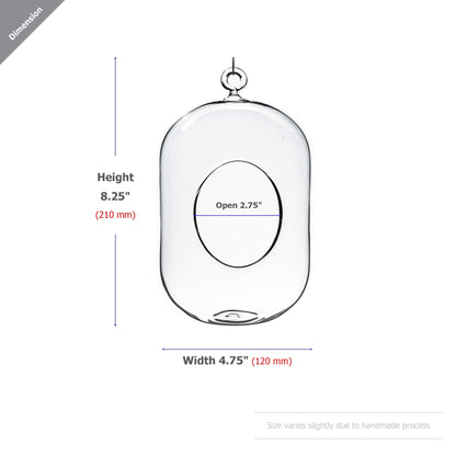 WGV Hanging Glass Plant Terrarium, Width 5", Height 8", Lantern DIY Air Succulent Planter Clear Tea Light Votive Candle Holder, Wedding Event Office Home Outdoor Decor, 1 Piece