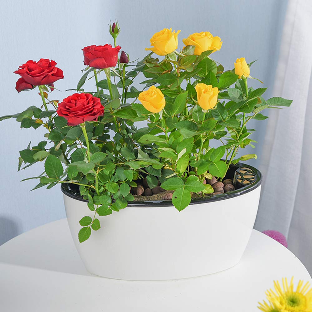 Sungmor Set of 3 Self-Watering Planter Pots - Modern White Plastic Flower Pots for Indoor Plants - Oval Indoor/Outdoor Planters with Water Reservoir, Home & Office Decor