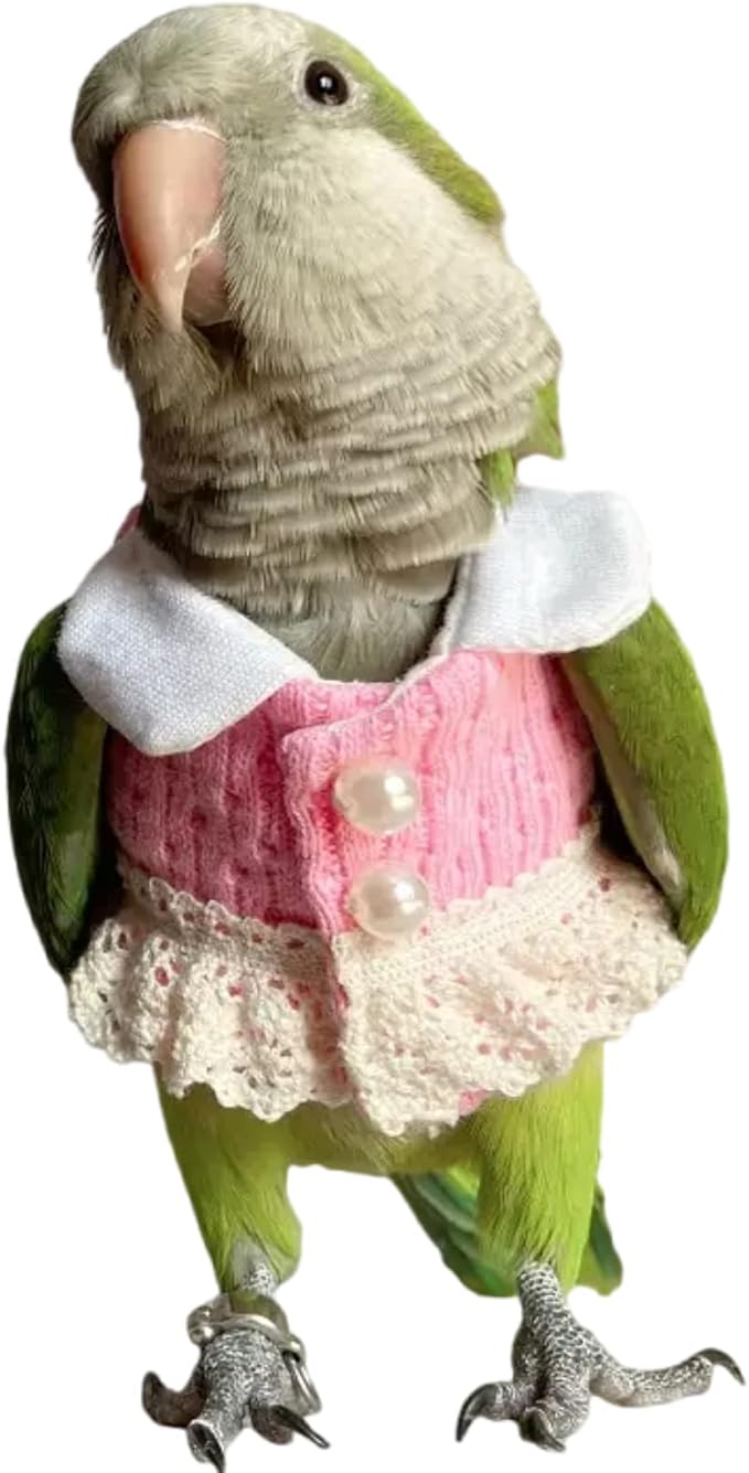 Amazon Bird Diaper Flight Suit - Pink Top Cosplay Photo Prop for Parrots, Lovebirds, Parakeets & Cockatiels - Small Animal Apparel