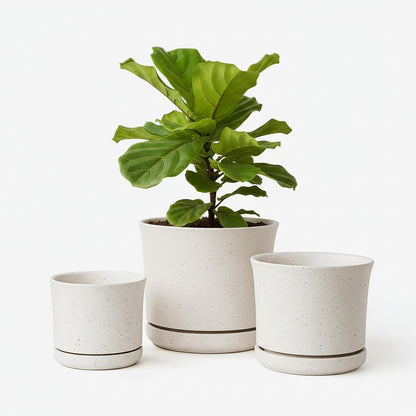 Avyra Velen Ceramic Plant Pots Set of 3 with Saucers, 4.3/5.5/7 Inch Planters for Indoor Plants, Drainage Hole Flower Pots for Succulents, Herbs, Aloe, Modern Home Decor, White