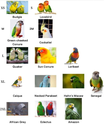Bird Flight Suits Diapers, Parrot Flight Suits Diapers for Quaker Parakeets Cockatiels Conures Macaw African Grey, Bird Diaper, Parrot Clothes (Blue,M)