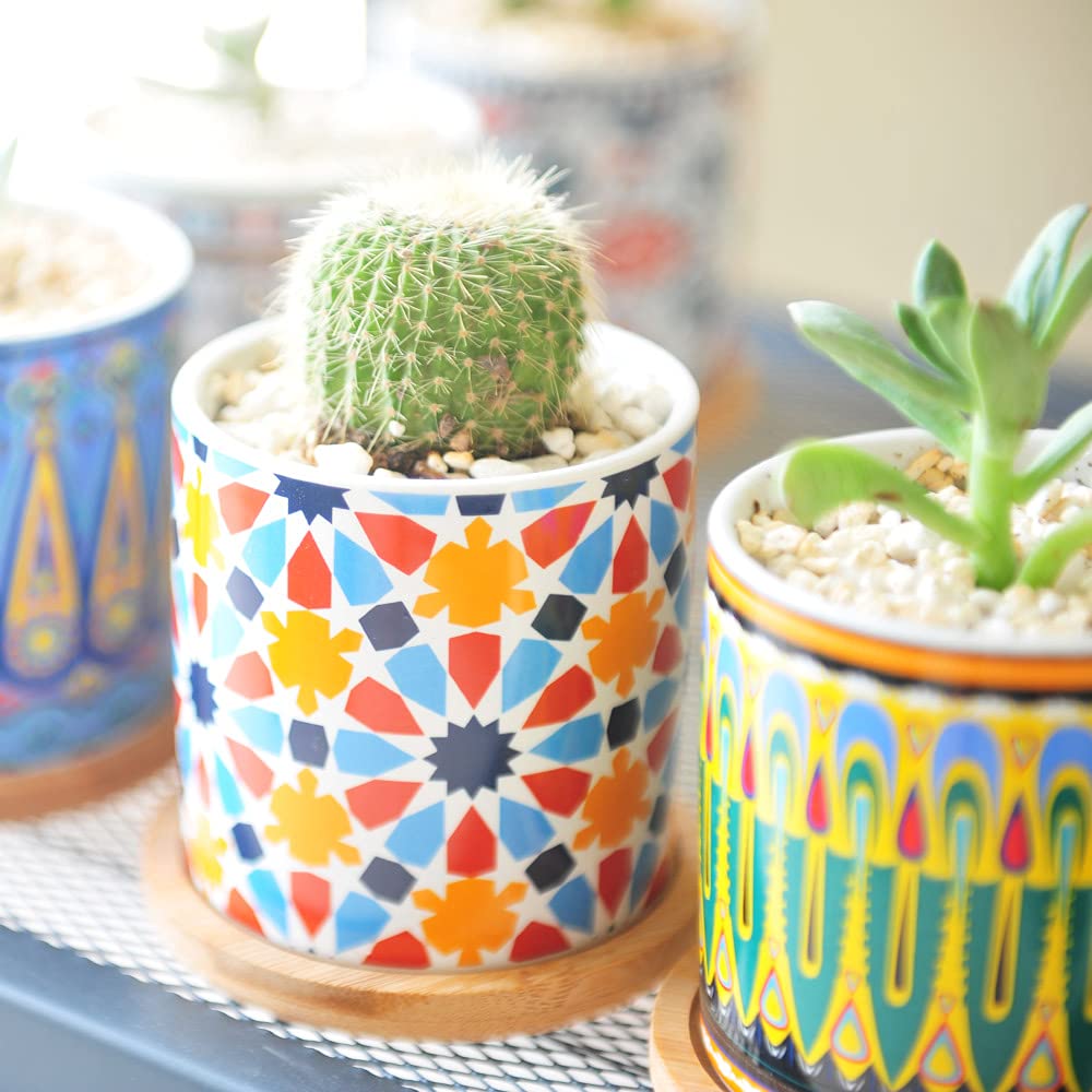 Ascrafter 6 Pack Mandala Succulent Plant Pot with Bamboo Trays, Ceramic Multicolored Succulent Container Planter Pot for Small Plant