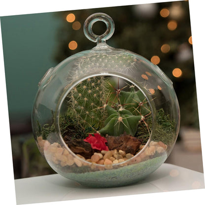 Cabilock 6pcs Clear Hanging Glass Vases Flat Base Design for Succulents and Plants for Terrarium Displays and Wedding Decor Lightweight Borosilicate Glass