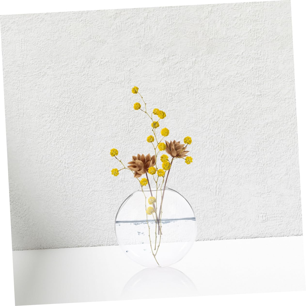 SOLUSTRE 2Pcs Clear Wall Vase Transparent Glass for Indoor Plants Space Saving Wall Decor for Home Office Easy Maintenance Terrarium