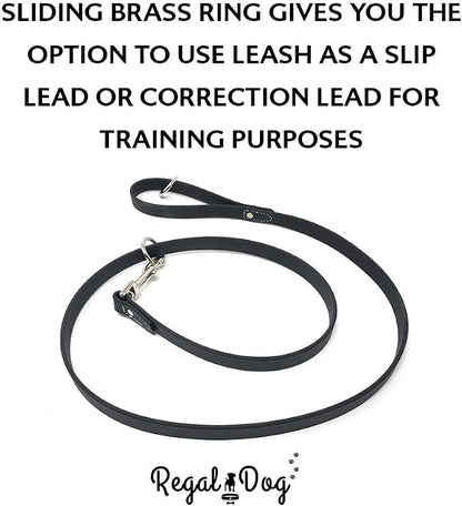 Regal Dog Products Medium Black Waterproof Dog Collar and Leash Set | Heavy Duty Double Buckle & D Ring - 5'ft Leash | Adjustable Biothane Dog Collar | Chew Resistant Waterproof Collar for Dogs