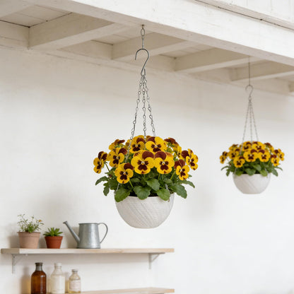AKAZA 10 Pieces 6 Inch Hanging Planters,Mini Succulent Planter Pots with Hanging Chain and Indoor Plants Perfect for Balcony, Patio,Garden.