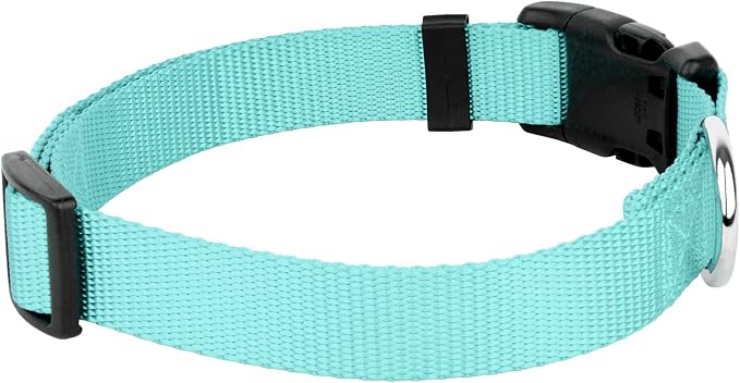 Country Brook Petz - Everyday Nylon Dog Collar and Leash - 10+ Cool Colors (3/4 Inch, Small, Light Cyan)