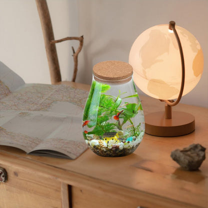 INOOMP 2pcs Glass Plant Terrarium, Tabletop Succulent Planter Sealed Glass Bottles Vial Air Plant Planter Candy Cookie Jar Fish Bowl Vase with Cork Top