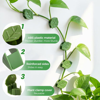 30 Pcs Plant Climbing Wall Fixture Clips with Acrylic Adhesive Stickers, Leaf Fixer Invisible Wall Vines Fixing Clips Self-Adhesive Hook Plant Vine Traction for Indoor Outdoor Decoration (30 Pcs)