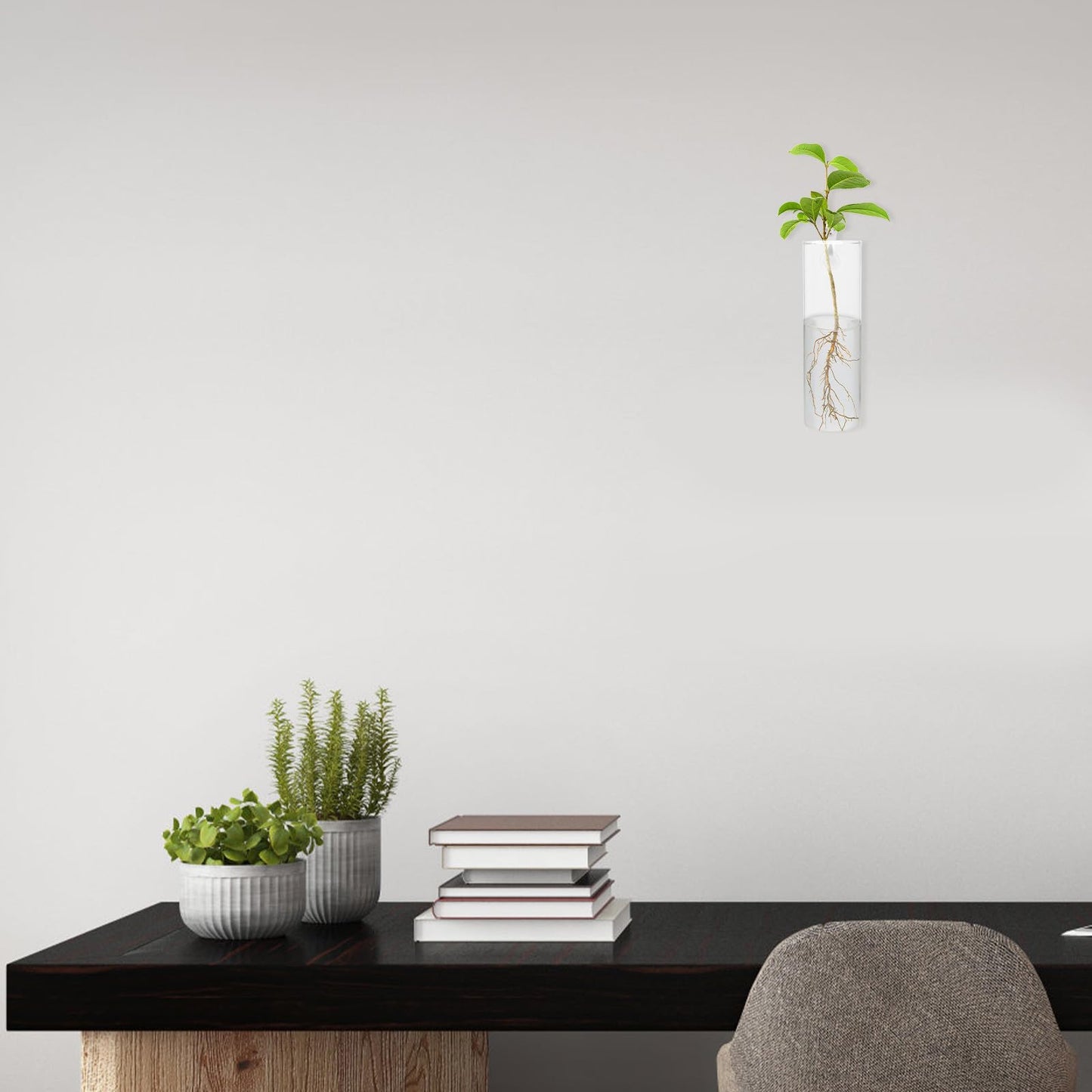 Tofficu Wall-Mounted Glass Flower Vase Set with Cylinder Hydroponic Planter, Tall Glass Plant Terrarium for Balcony Decor and Indoor Wall Display