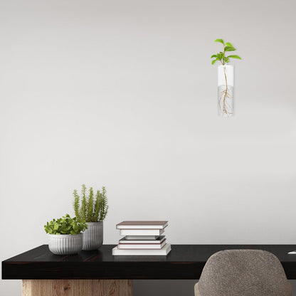 Tofficu Wall-Mounted Glass Flower Vase Set with Cylinder Hydroponic Planter, Tall Glass Plant Terrarium for Balcony Decor and Indoor Wall Display