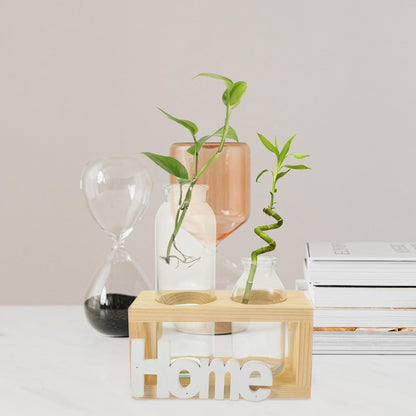 VALICLUD Nordic Style Glass Flower Vase Set with Wooden Stand, Hydroponic Desktop Plant Holder for Indoor Air Plants and Houseplants, Home Décor Terrarium Vase for Table and Office