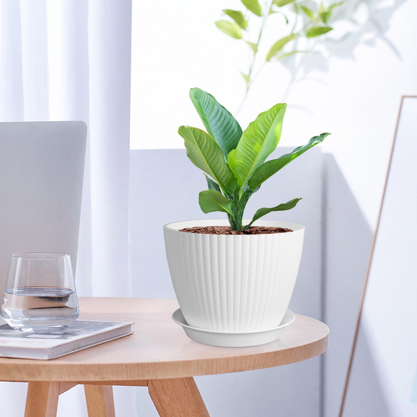 Meowell 7/6.2/5.5/5/4.5/4 inch Plant Pots, 6 Pack Flower Pots for Small Indoor Outdoor Plants, Plastic Planters with Drainage Holes and Saucers for Garden Succulent House Plants, White