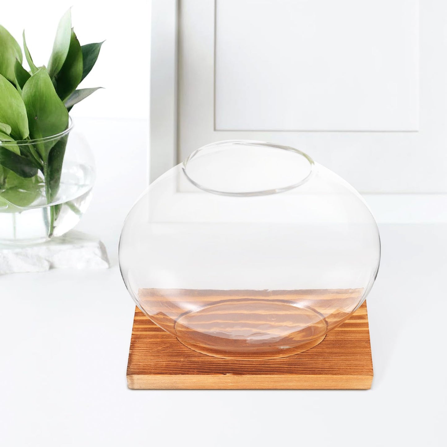 OSOLADY Glass Hydroponic Vase with Wooden Base, Plant Propagation Station for Office and Home Décor, Tabletop Glass Terrarium Hydroponics Display Ornament
