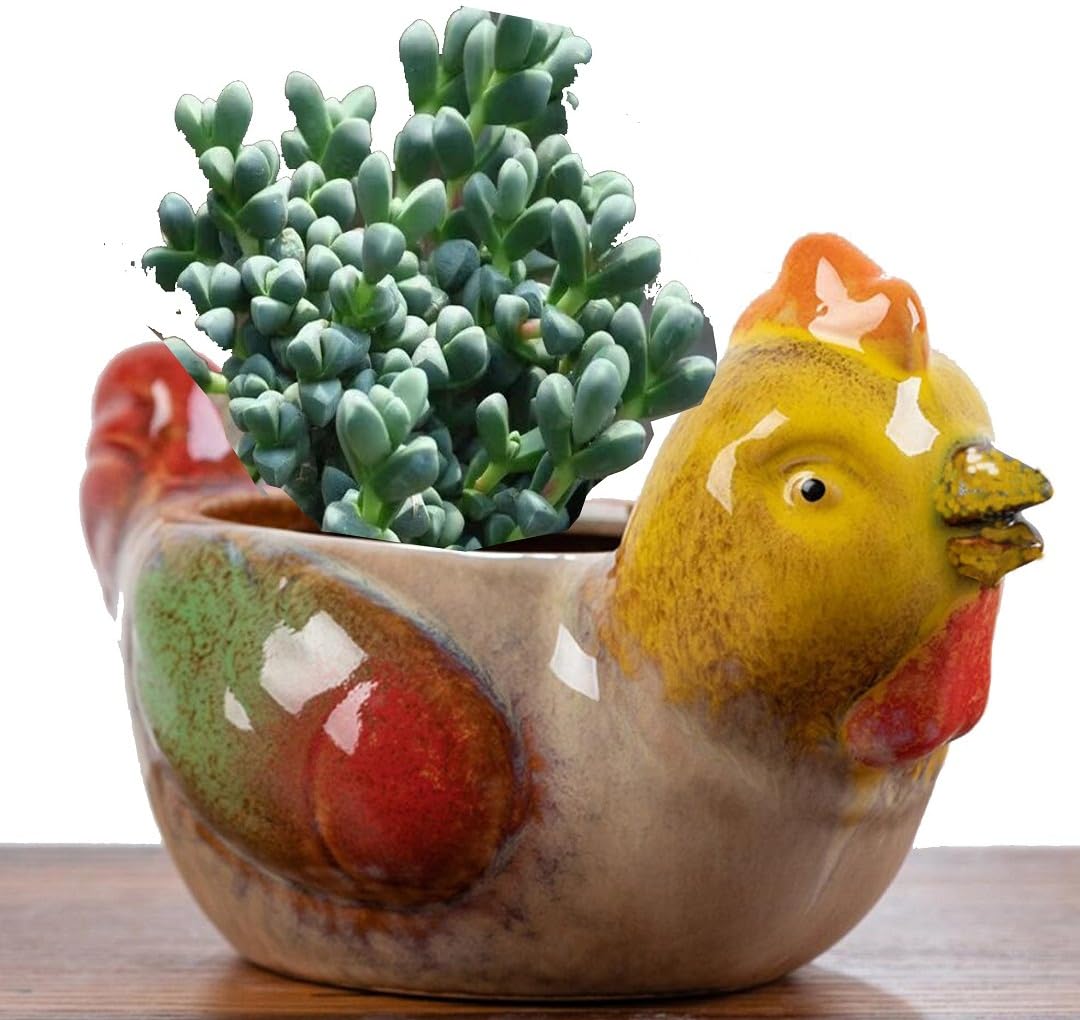 zmgmsmh Animal Shaped Planter Flower Pot Chicken Shape Small Succulent pots with Drainage Ceramic Animal Planter, Indoor Plant Container Planter with Drainage Hole Home Office Desk Garden (Chicken)