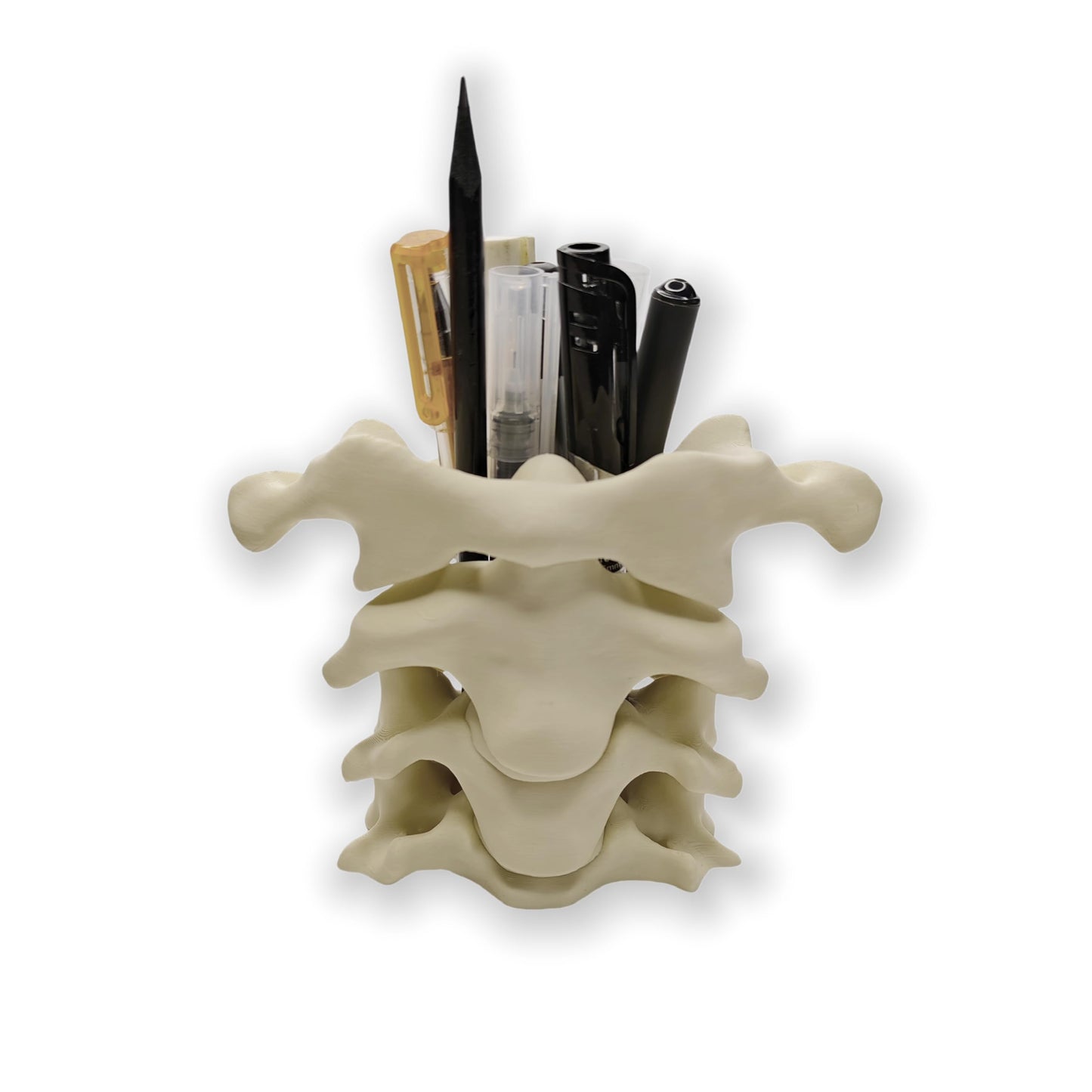 gekoaoo Spine Pen Holder for Desk, Unique Pencil Holder Desk Organizers, Office Supplies Decorations Gift for Doctors, Nurses, Chiropractors