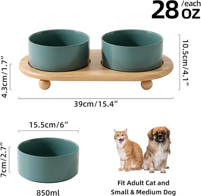 Havniva Raised Cat Bowls Water Bowl 6.1” Elevated Ceramic Cat Food and Water Bowl Whisker Friendly Pet Food Bowls for Indoor Cats, Wide Cat Water Dish Prevent Whisker Fatigue Non Slip Cat Feeder