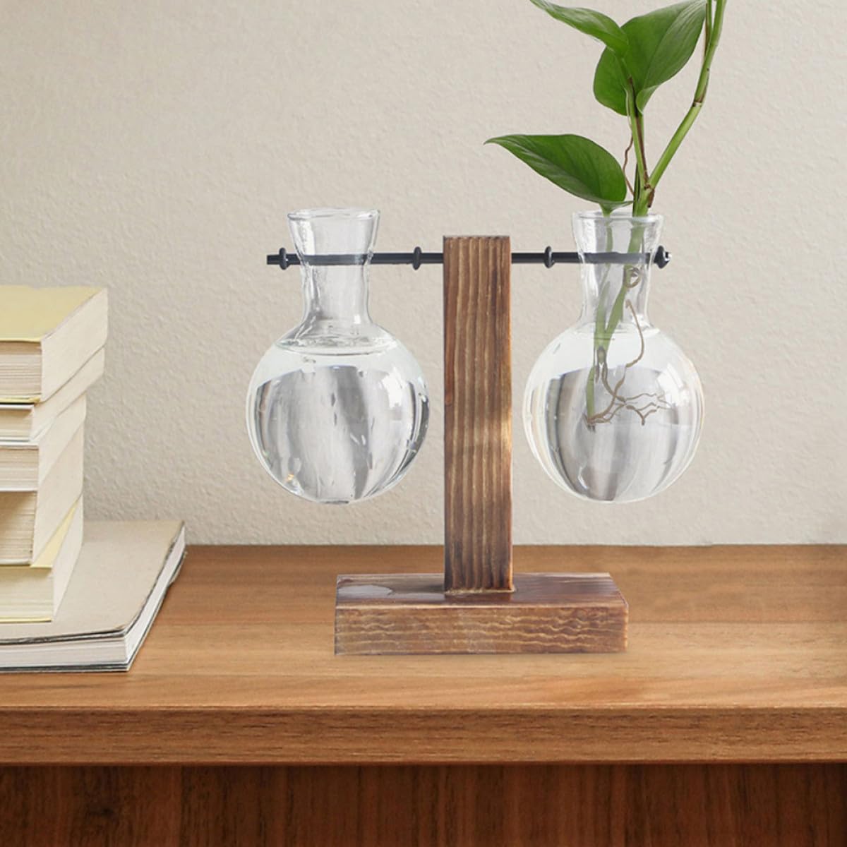 DRESSOOS 3pcs Glass Hydroponics Vase with Wooden Stand, High Borosilicate Plant Propagation Station for Desktop Terrarium and Home Garden Décor