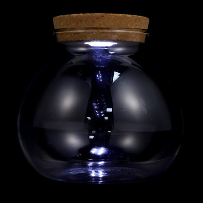 Glass Favor Jar Glass Bottles with Cork Lid and LED Light Plant Terrarium Display for DIY Wedding Party Mason Jars Crafts Christmas Decoration