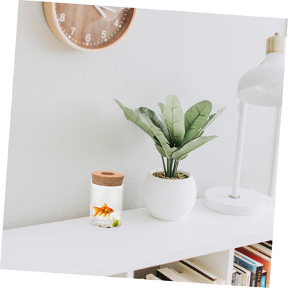 Yardenfun DIY Plant Terrarium Vase Glass Flower Holder for Bookshelf Decor Flower Arrangement Container
