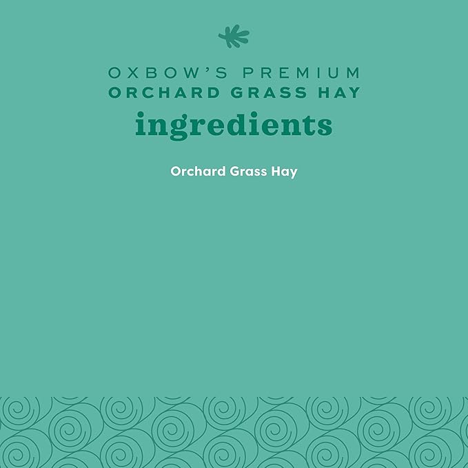 Oxbow Animal Health Orchard Grass, Guinea Pig Hay, Rabbit Hay, Small Pet Bunny Supplies, All Natural Grass for Guinea Pig, Bunny, Chinchilla & Hamster, Oxbow Rabbit Supplies for Bunnies, 9 lb. box