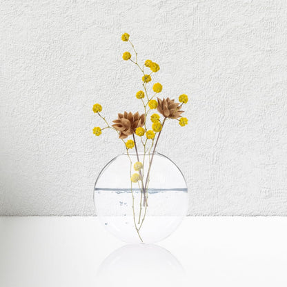 Luxshiny 4pcs Wall Mounted Hydroponic Glass for Indoor Plant Decor Hanging Terrarium for Home Office and Garden -Saving Design for Easy Plant Propagation