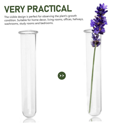 CIYODO 4pcs Glass Hydroponic Test Tube Vase for Flowers Geometric Terrarium Home Plant Decor Propagation Vases