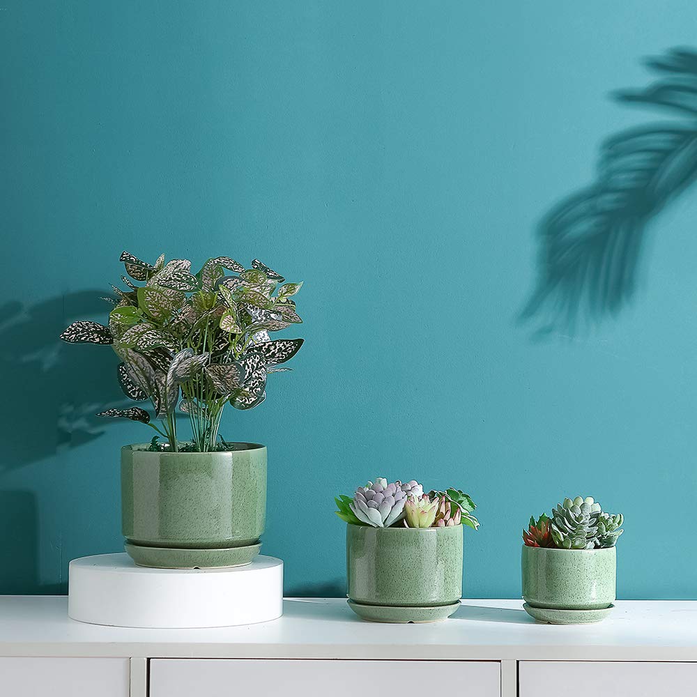 Yishang Succulent Plant Pots,6.7+5.3+4.1 in Glazed Ceramic Planters with Connected Saucers, Round Modern Ceramic Flower pots - Small to Large Sized Plant pots for All House Plants