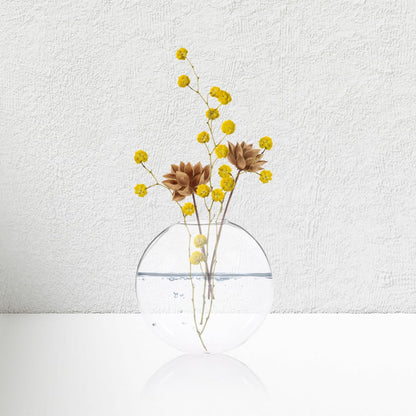 FOMIYES 4pcs Wall Mounted Hydroponic Glass Planter Vases, Hanging Terrarium Bottles for Indoor Plant Propagation and Home Décor