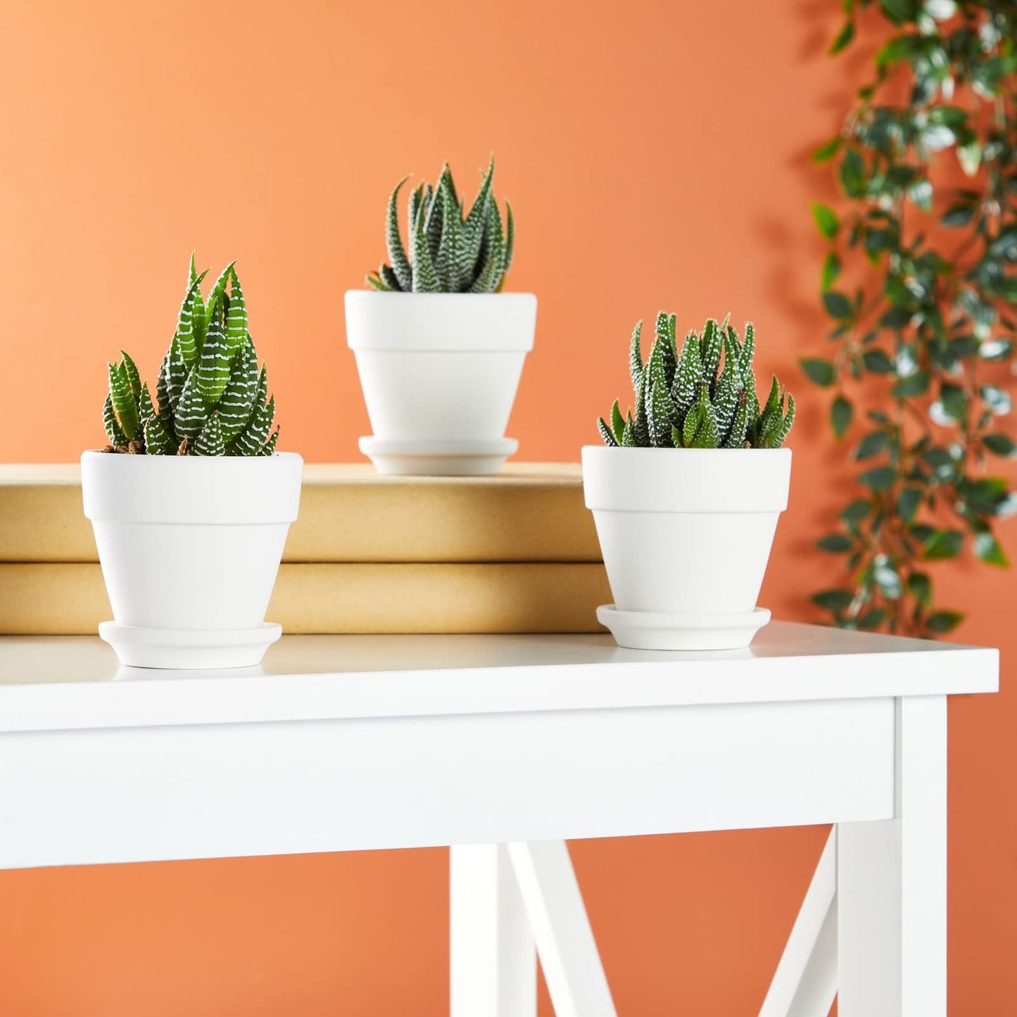 Juvale Mini Terracotta Pots - Pot with Drainage Hole - Versatile Succulent & Herb Planter - Paintable White Planter for Custom Decor - Pack of 12, White, 2.9 x 2.9 x 2.5 in