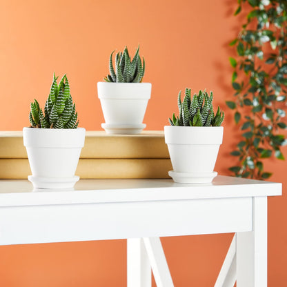 Juvale Mini Terracotta Pots - Pot with Drainage Hole - Versatile Succulent & Herb Planter - Paintable White Planter for Custom Decor - Pack of 12, White, 2.9 x 2.9 x 2.5 in