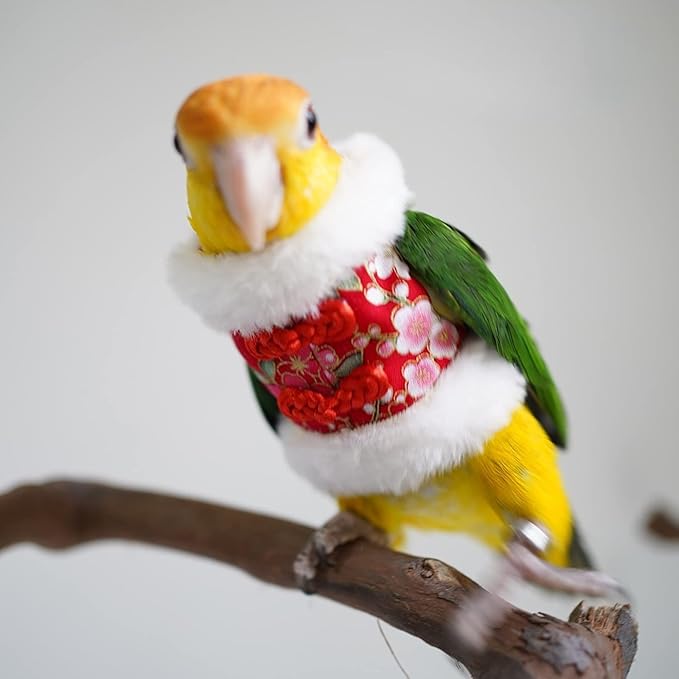Bird Costume Bird Flight Suit Bird Clothes Cosplay Photo Prop for Parrots Parakeet Cockatiel Sun Conure, Bird Hoodie Small Animals Apparel (Black, Medium)