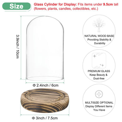 M METERXITY Cloche Glass Dome, 3.9"x2.4" Glass Display Case with Wooden Base for DIY Snow Globes/Small Plants/Flowers/Candles/Models/Souvenirs, Tabletop Centerpiece [Burnt]
