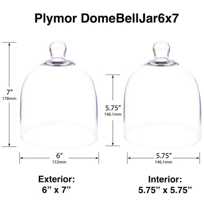 Plymor 6" x 7" Bell Jar Glass Display Dome Cloche (Small - Interior Size 5.75 inch x 5.75 inch)