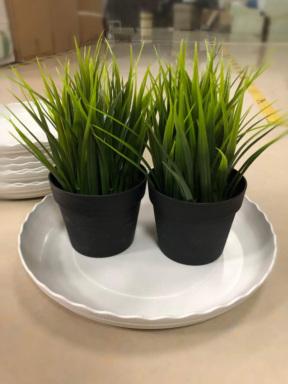DODXIAOBEUL 12 Inch Light Grey Plant Saucers 5 Pack,Saucers for Potted Plants,Flower Pot Drip Trays for Indoor & Outdoor Ceramic or Plastic Flower Pot Drip Trays for Large to Small Pots